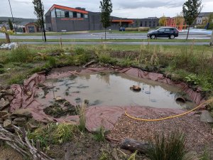 Community Garden Pond Works